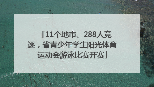 11个地市、288人竞逐，省青少年学生阳光体育运动会游泳比赛开赛