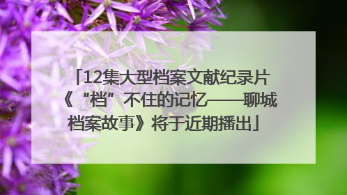 12集大型档案文献纪录片《“档”不住的记忆——聊城档案故事》将于近期播出