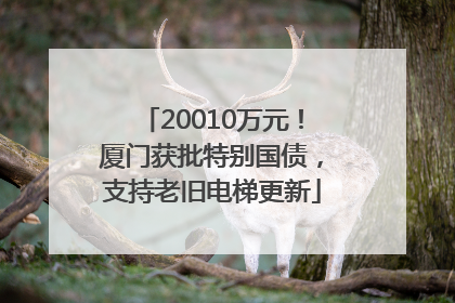 20010万元！厦门获批特别国债，支持老旧电梯更新