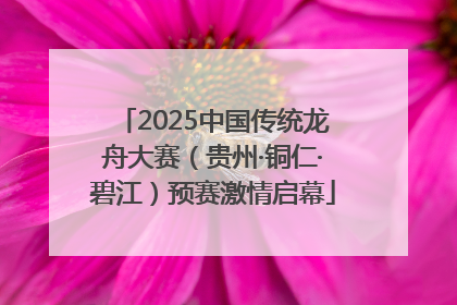 2025中国传统龙舟大赛（贵州·铜仁·碧江）预赛激情启幕