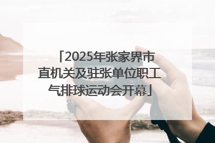 2025年张家界市直机关及驻张单位职工气排球运动会开幕