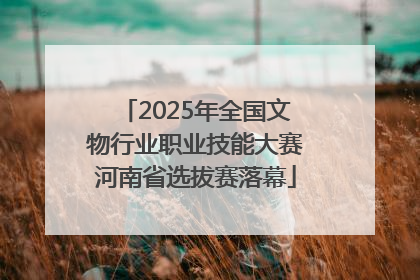 2025年全国文物行业职业技能大赛河南省选拔赛落幕