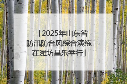 2025年山东省防汛防台风综合演练在潍坊昌乐举行