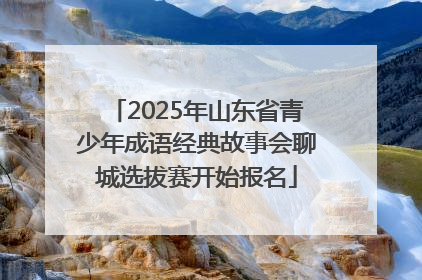 2025年山东省青少年成语经典故事会聊城选拔赛开始报名