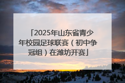 2025年山东省青少年校园足球联赛（初中争冠组）在潍坊开赛