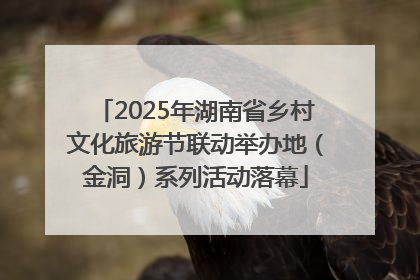 2025年湖南省乡村文化旅游节联动举办地（金洞）系列活动落幕