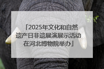 2025年文化和自然遗产日非遗展演展示活动在河北博物院举办