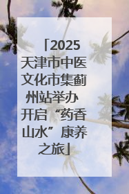 2025天津市中医文化市集蓟州站举办 开启“药香山水”康养之旅