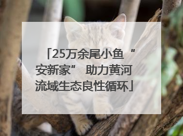 25万余尾小鱼“安新家” 助力黄河流域生态良性循环
