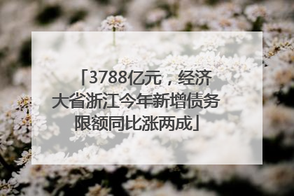 3788亿元，经济大省浙江今年新增债务限额同比涨两成
