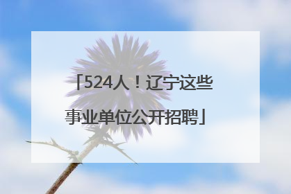 524人！辽宁这些事业单位公开招聘
