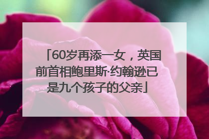 60岁再添一女，英国前首相鲍里斯·约翰逊已是九个孩子的父亲