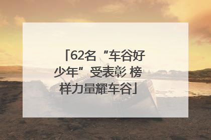 62名“车谷好少年”受表彰 榜样力量耀车谷