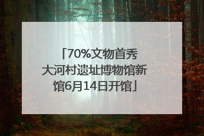 70%文物首秀 大河村遗址博物馆新馆6月14日开馆