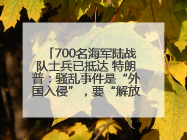 700名海军陆战队士兵已抵达 特朗普：骚乱事件是“外国入侵”，要“解放洛杉矶”