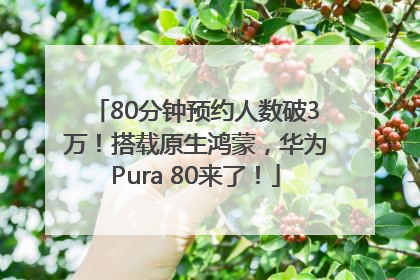 80分钟预约人数破3万！搭载原生鸿蒙，华为Pura 80来了！