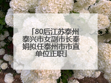 80后江苏泰州泰兴市女副市长秦娟拟任泰州市市直单位正职