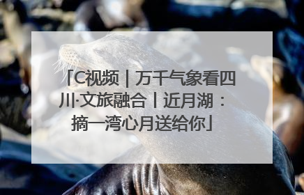 C视频｜万千气象看四川·文旅融合丨近月湖：摘一湾心月送给你