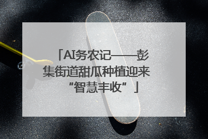 AI务农记——彭集街道甜瓜种植迎来“智慧丰收”
