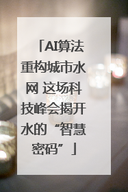 AI算法重构城市水网 这场科技峰会揭开水的“智慧密码”