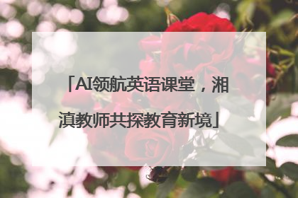 AI领航英语课堂，湘滇教师共探教育新境