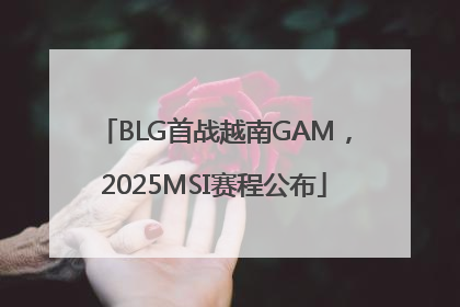 BLG首战越南GAM，2025MSI赛程公布